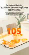 TINSOL Food Warmer Pad Foldable Silicone Heating Pad Portable Meal Cart Insulation Pad 8-Level Temperature Adjustment VELNIX